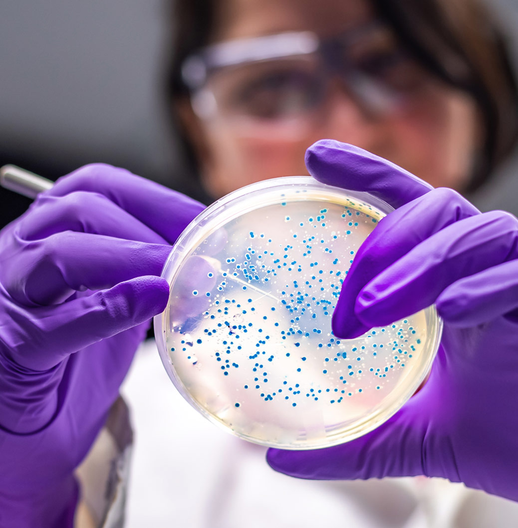 Laboratorijas darbiniece zāļu izstrādes procesā pēta baktēriju koloniju